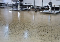 hairroom polished concrete