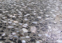 grind-seal-polished-concrete1